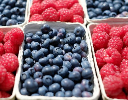 berries-1493905_1280