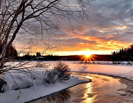 winter-landscape-2995987_1280